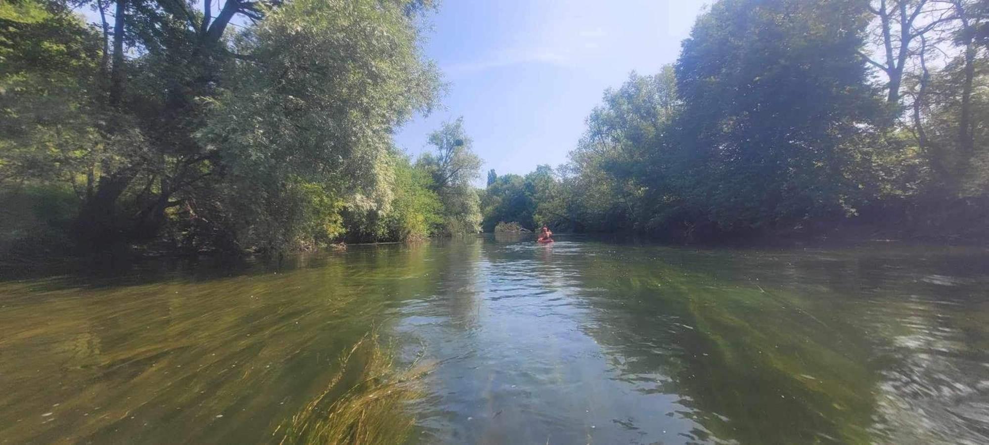 Detente A Sorques Montigny-sur-Loing Екстер'єр фото