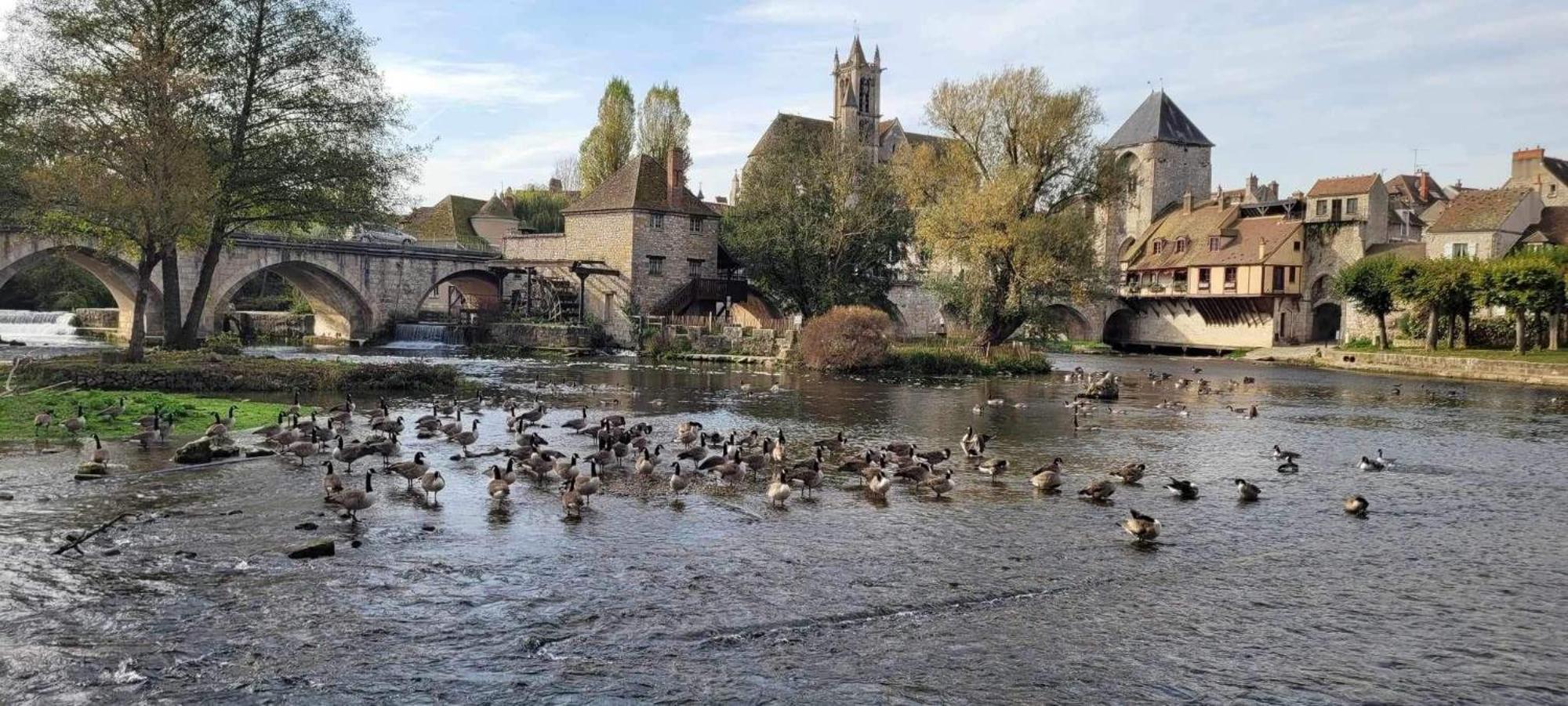 Detente A Sorques Montigny-sur-Loing Екстер'єр фото